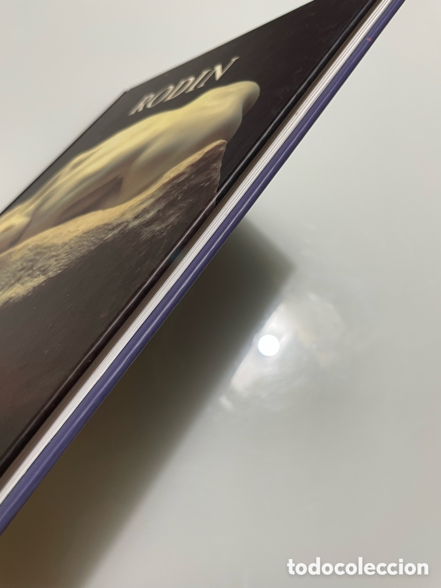 Libros de segunda mano: Rodin. Ediciones del aguazul. Tapa dura - Foto 4