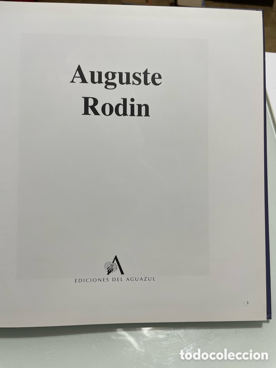 Libros de segunda mano: Rodin. Ediciones del aguazul. Tapa dura - Foto 7