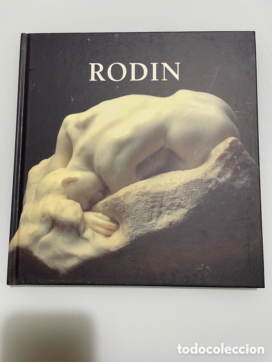 Libros de segunda mano: Rodin. Ediciones del aguazul. Tapa dura - Foto 1