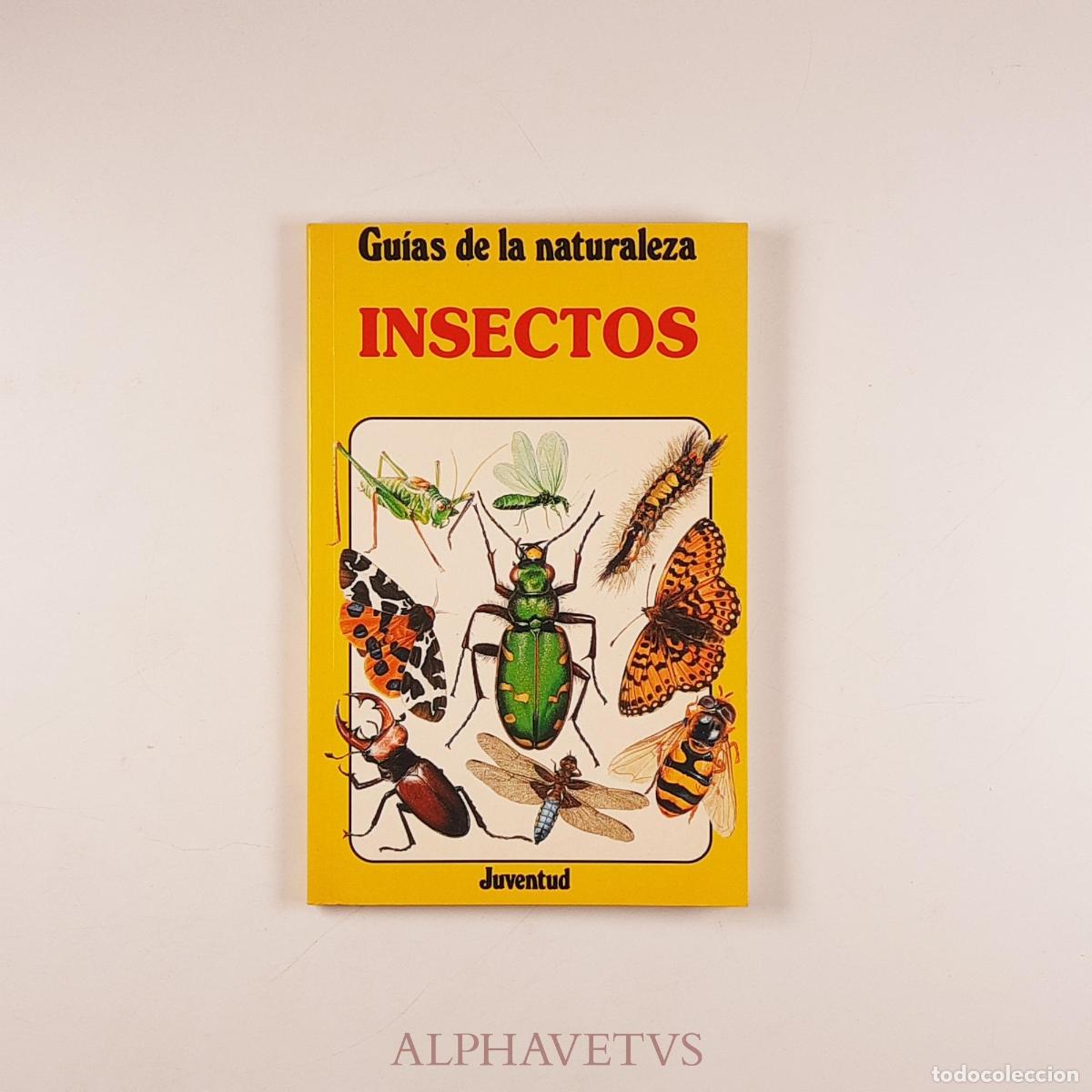 Libros de segunda mano: Insectos - Wootton, Anthony - Foto 1