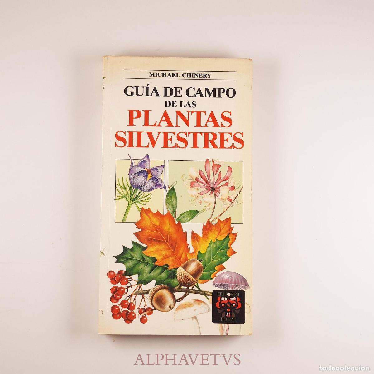 Libros de segunda mano: Gu&iacute;a de campo de las plantas silvestres - Chinery, Michael