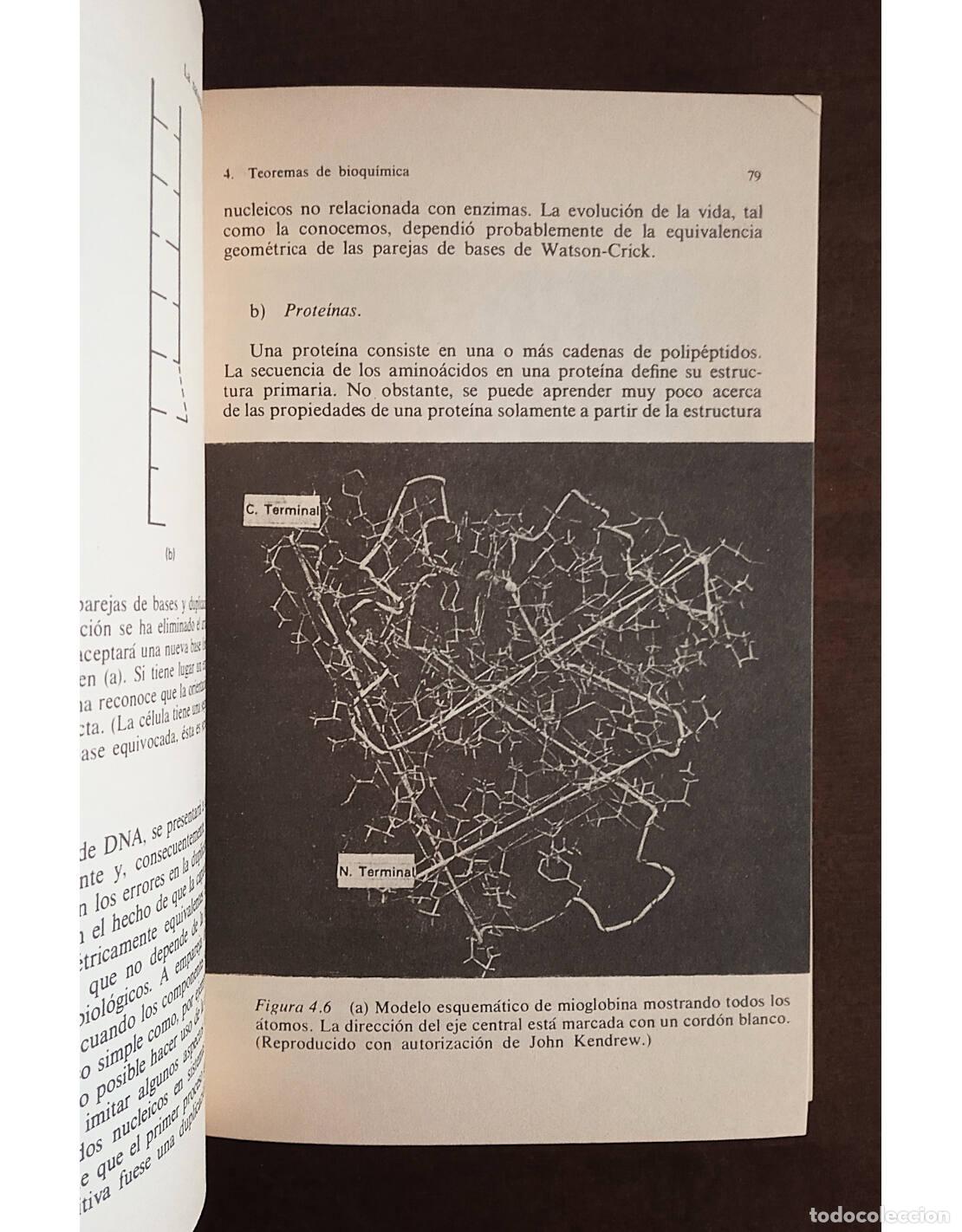 Libros de segunda mano: LOS OR&Iacute;GENES DE LA VIDA. ORGEL, L.E.. Editorial Alianza. 1988. - Foto 5