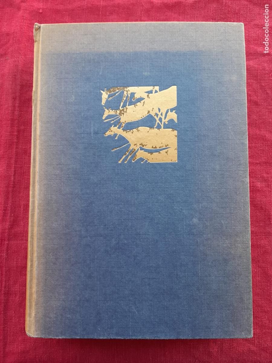 Dioses, tumbas y sabios - Ceram, C. W.