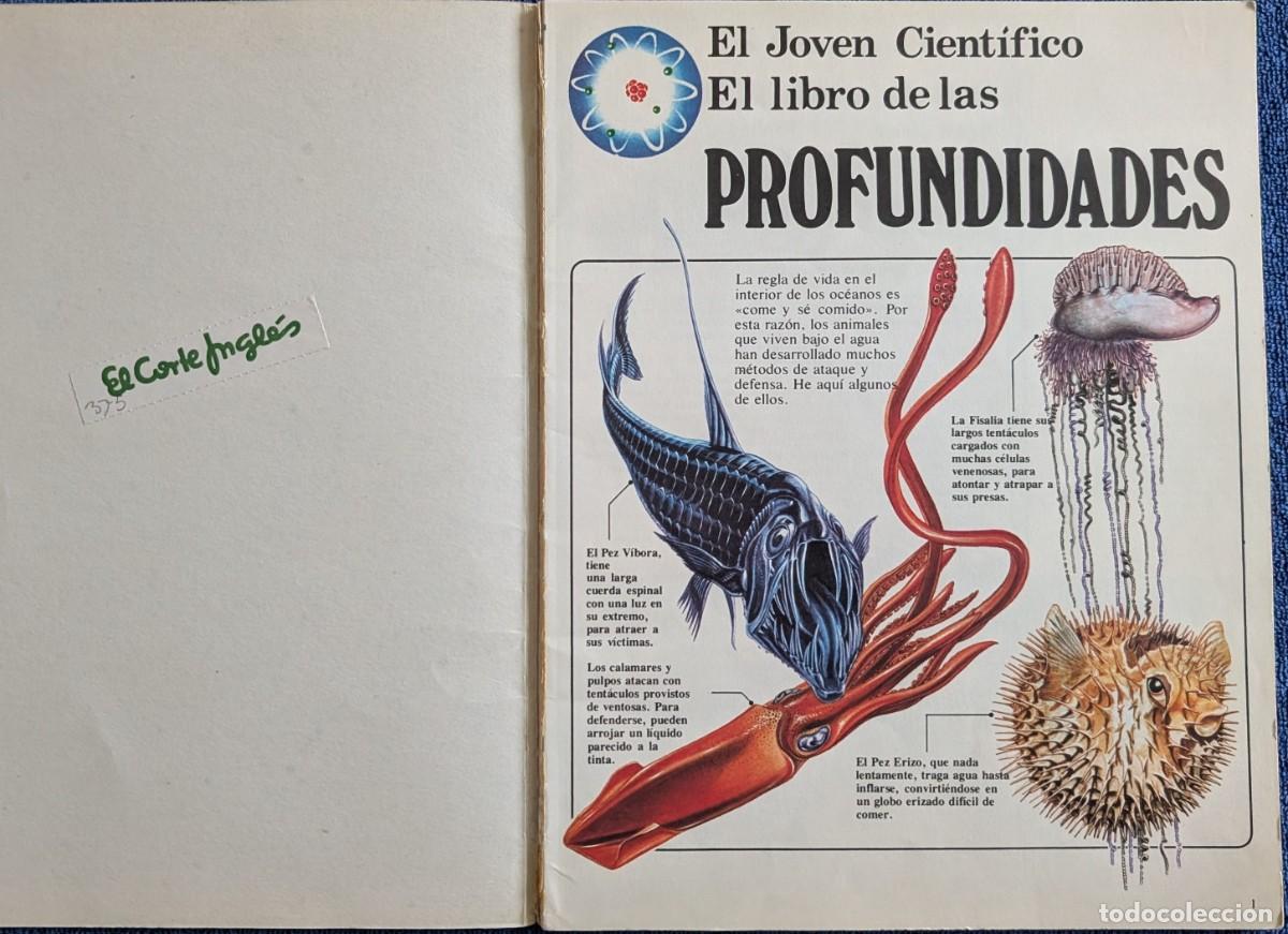 Libros de segunda mano: El joven cient&iacute;fico - PLESA - Ediciones SM (1979) &iexcl;Colecci&oacute;n completa! - Foto 15
