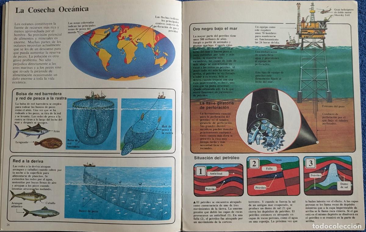 Libros de segunda mano: El joven cient&iacute;fico - PLESA - Ediciones SM (1979) &iexcl;Colecci&oacute;n completa! - Foto 19