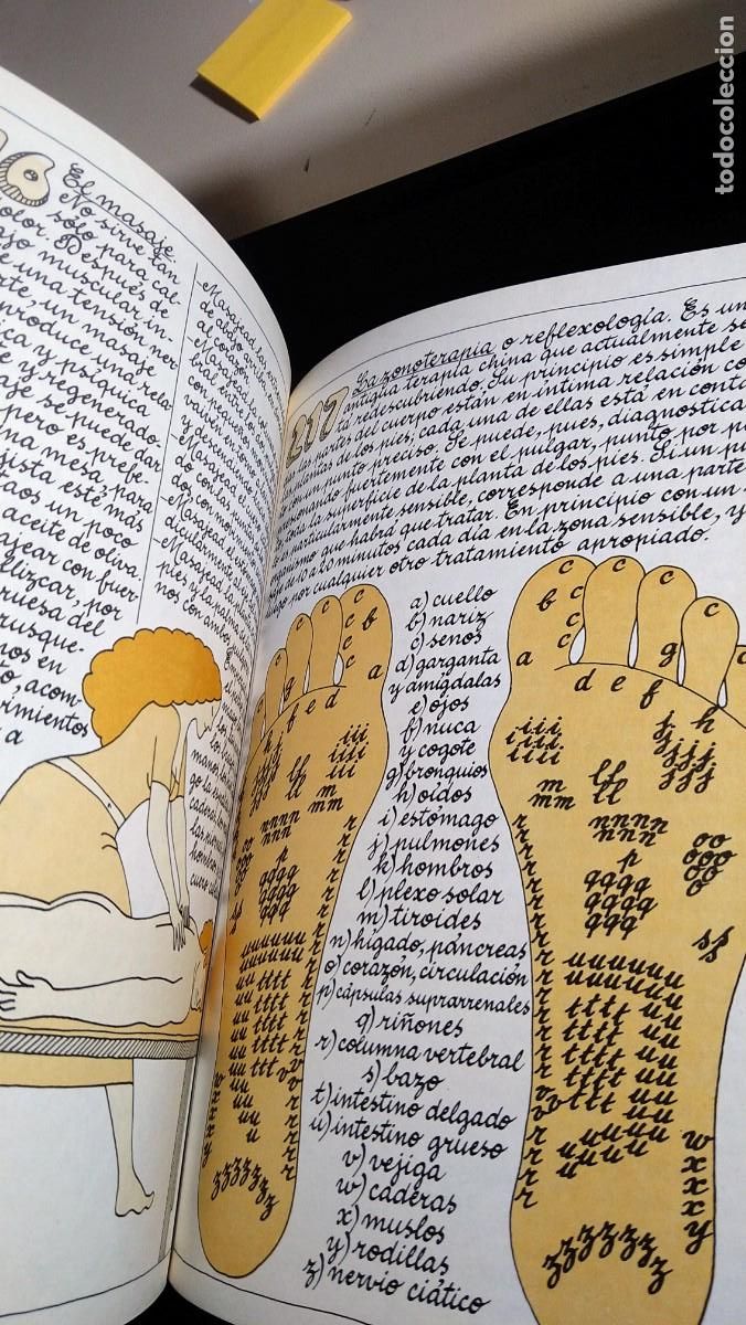 Libros de segunda mano: VIVIR OTRA VEZ - JACQUES MASSACRIER - Foto 8