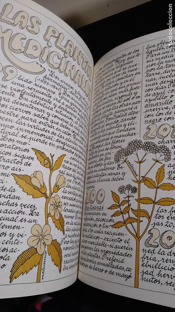 Libros de segunda mano: VIVIR OTRA VEZ - JACQUES MASSACRIER - Foto 10