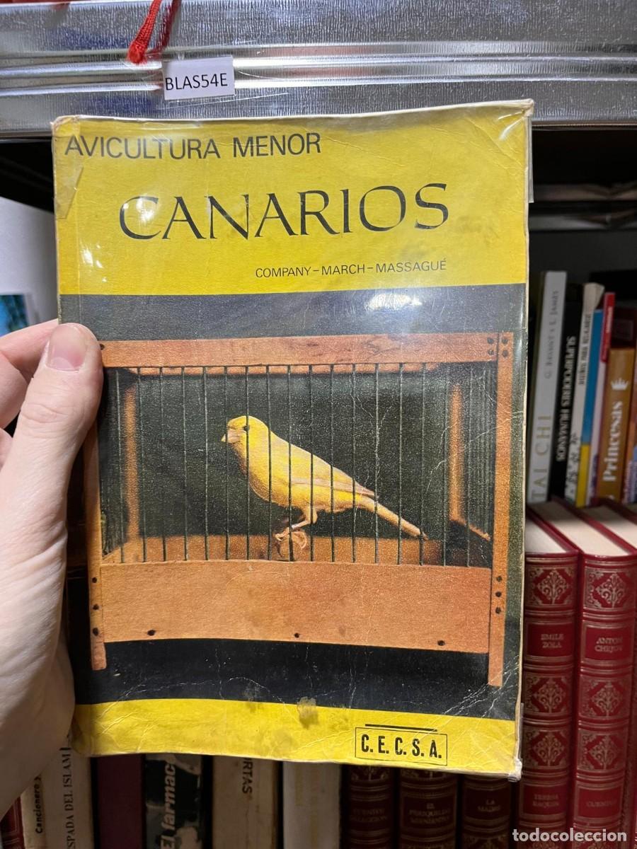 Libros de segunda mano: BLAS54A CANARIOS, AVICULTURA MENOR, COMPANY, MARCH, MASSAGUE, CECSA