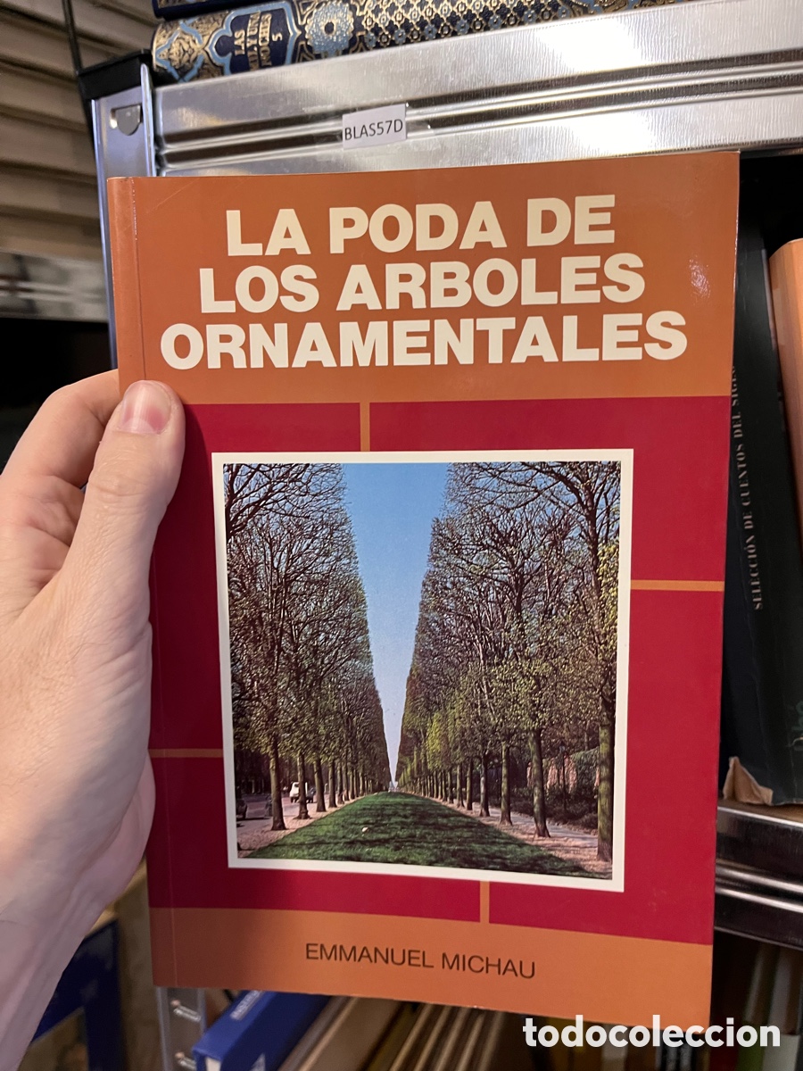 Libros de segunda mano: Blas57D PODA DE LOS ARBOLES ORNAMENTALES - EMMANUEL MICHAU,