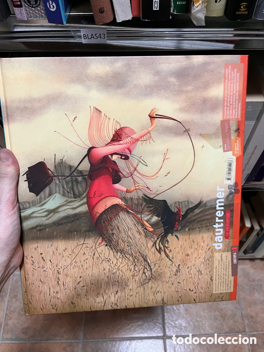 Second hand books: Blas43 ( REBECCA ) DAUTREMER Y VICEVERSA. ILUSTRADORA ( TEXTO DE TA&Iuml;-MARC LE THANH ) GRAN FORMATO