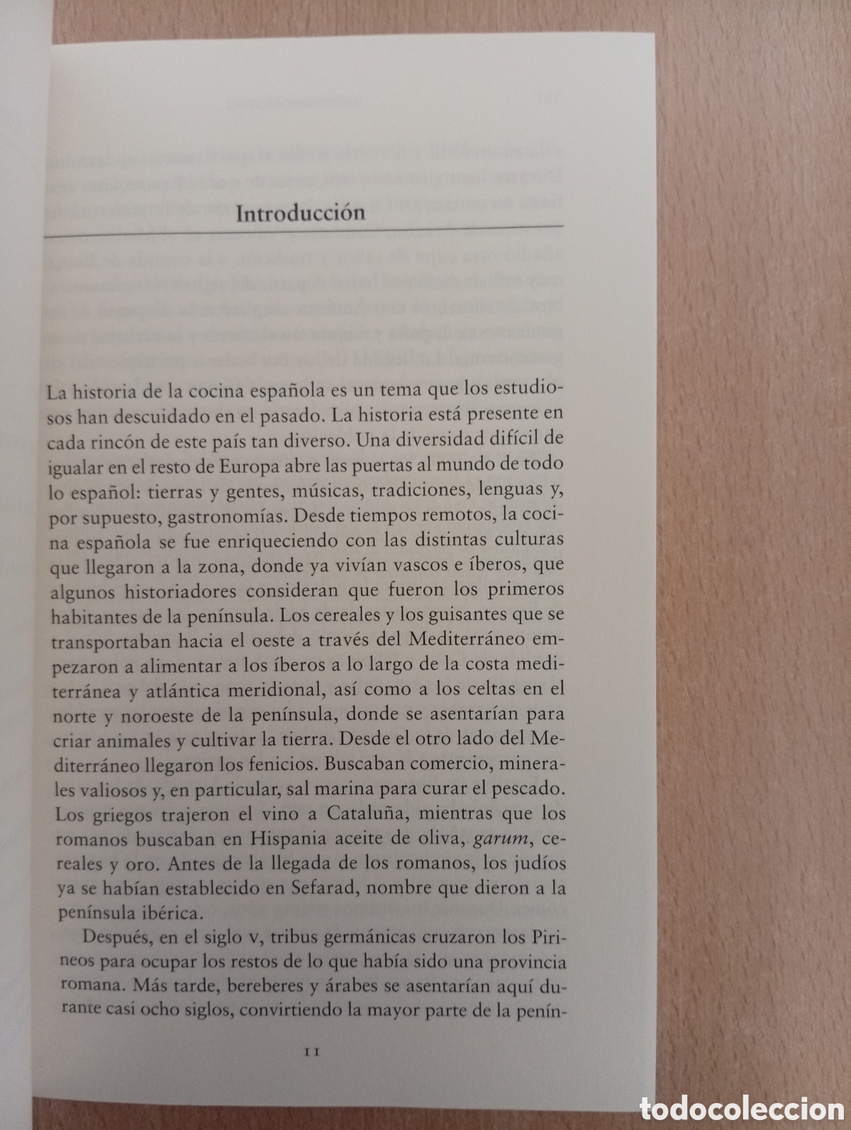 Libros de segunda mano: HISTORIA DE LA COMIDA EN ESPA&Ntilde;A. Mar&iacute;a Jos&eacute; Sevilla. RBA - Foto 5