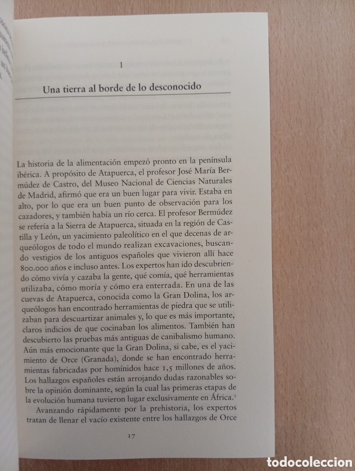 Libros de segunda mano: HISTORIA DE LA COMIDA EN ESPA&Ntilde;A. Mar&iacute;a Jos&eacute; Sevilla. RBA - Foto 6