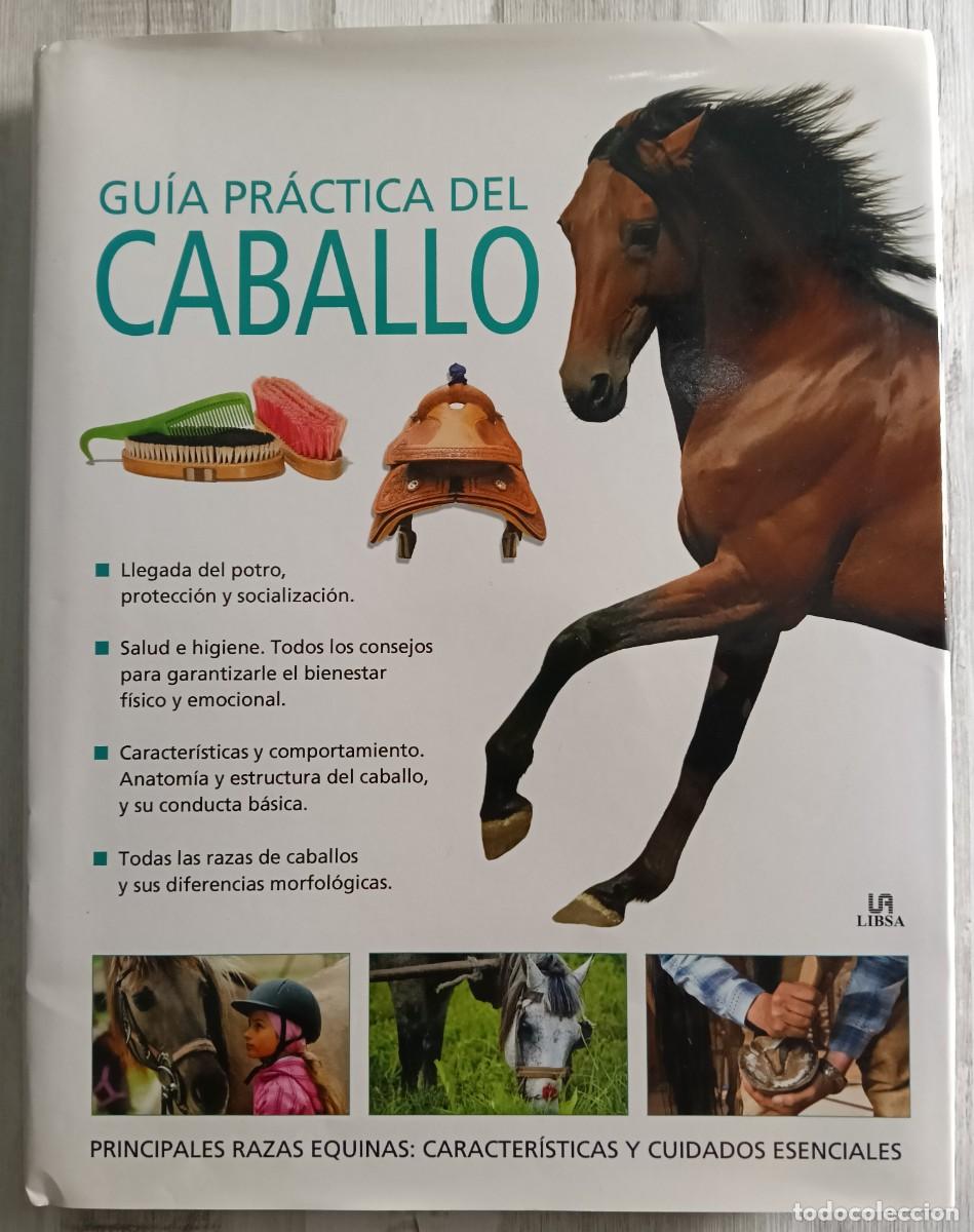 Libros de segunda mano: Gu&iacute;a Pr&aacute;ctica del Caballo - Foto 1