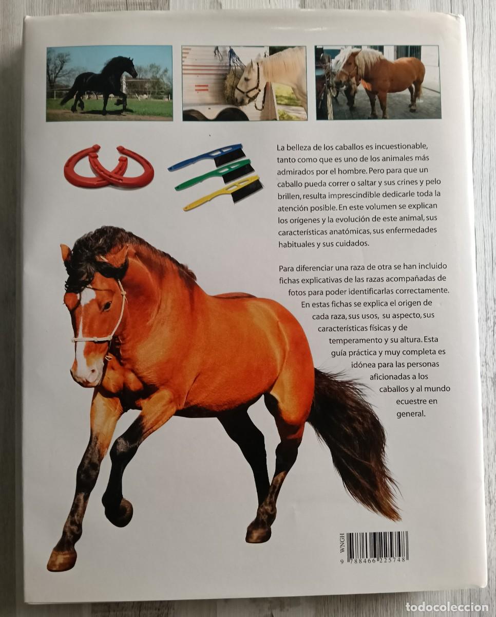 Libros de segunda mano: Gu&iacute;a Pr&aacute;ctica del Caballo - Foto 2