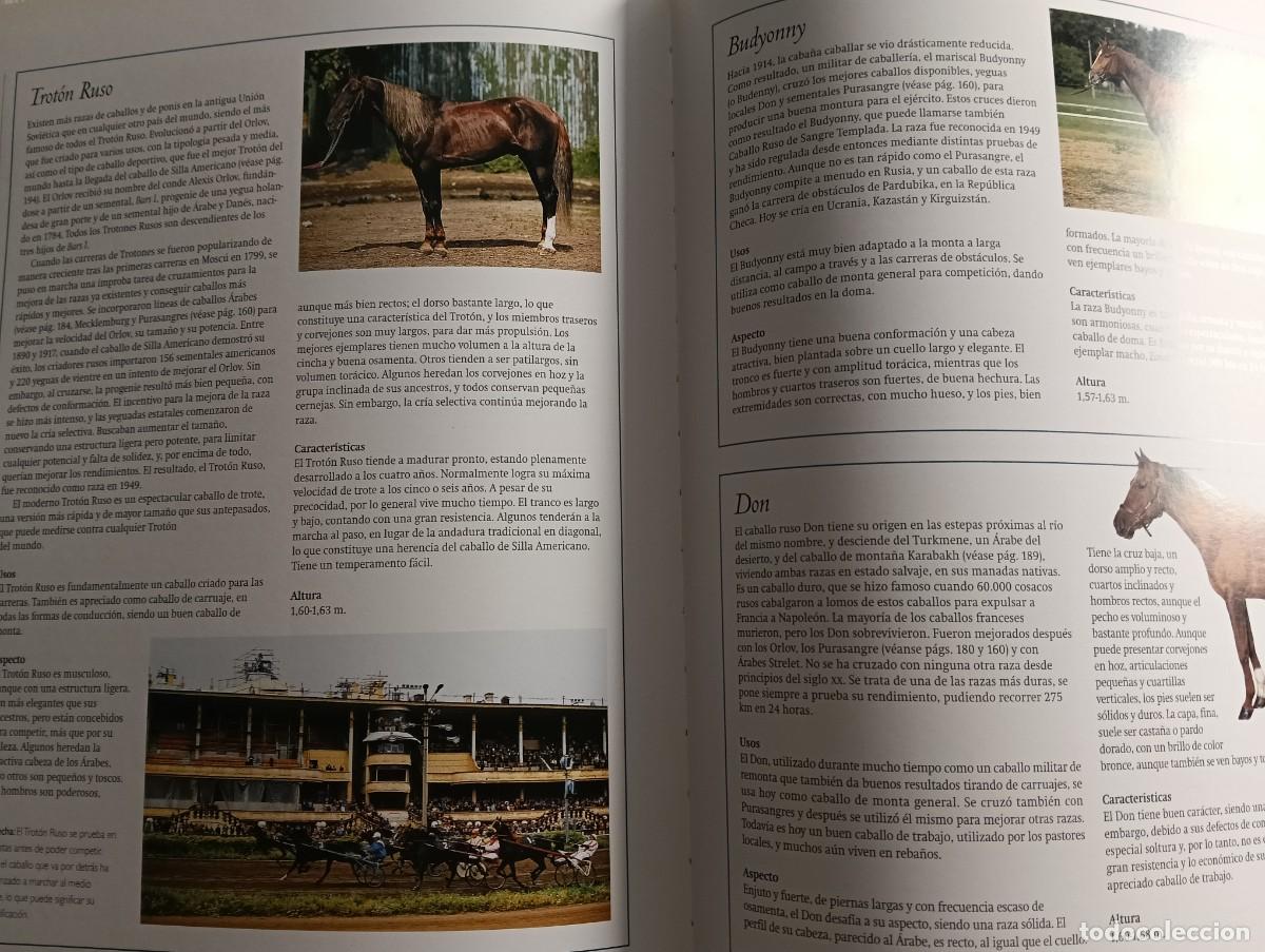 Libros de segunda mano: Gu&iacute;a Pr&aacute;ctica del Caballo - Foto 4
