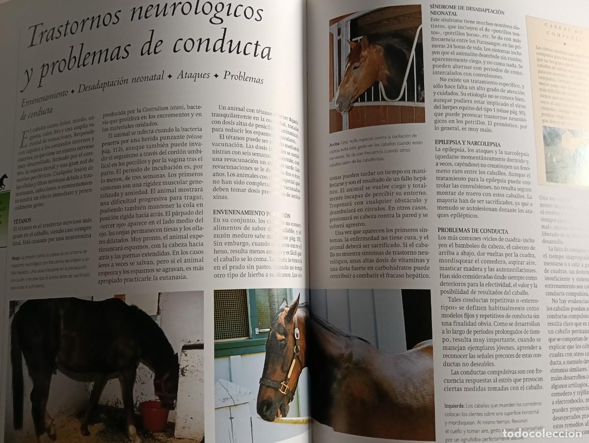 Libros de segunda mano: Gu&iacute;a Pr&aacute;ctica del Caballo - Foto 5