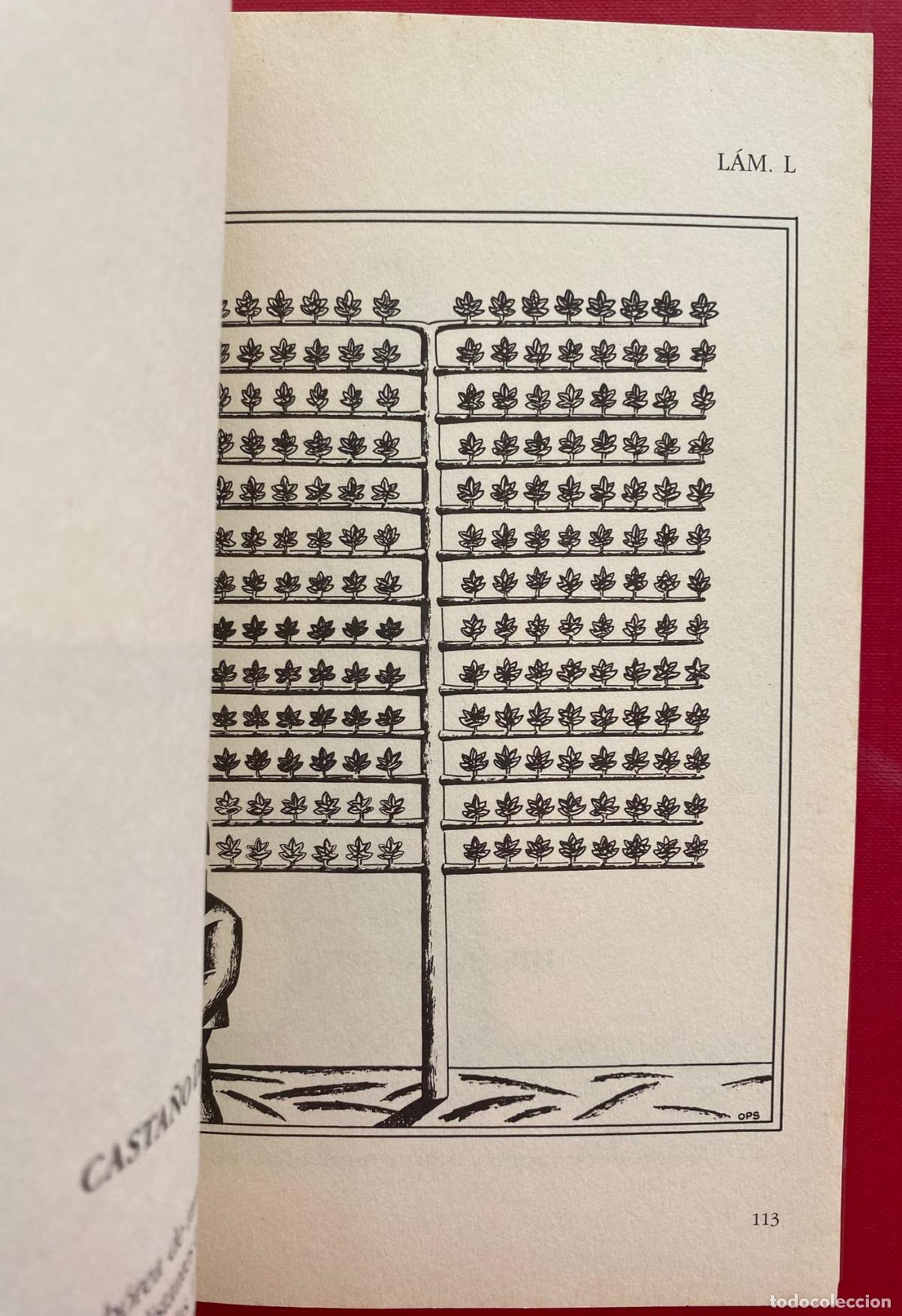 Libros de segunda mano: Bestiario. Ops. Pr&oacute;logo Jos&eacute; Hierro - Foto 4