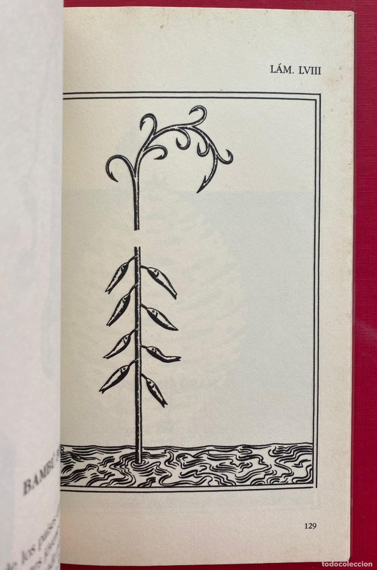 Libros de segunda mano: Bestiario. Ops. Pr&oacute;logo Jos&eacute; Hierro - Foto 5