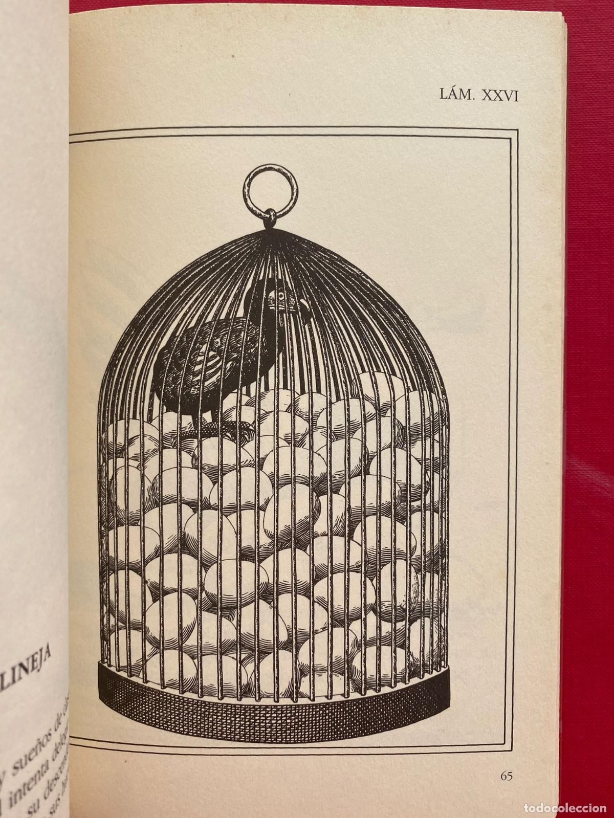 Libros de segunda mano: Bestiario. Ops. Pr&oacute;logo Jos&eacute; Hierro - Foto 6