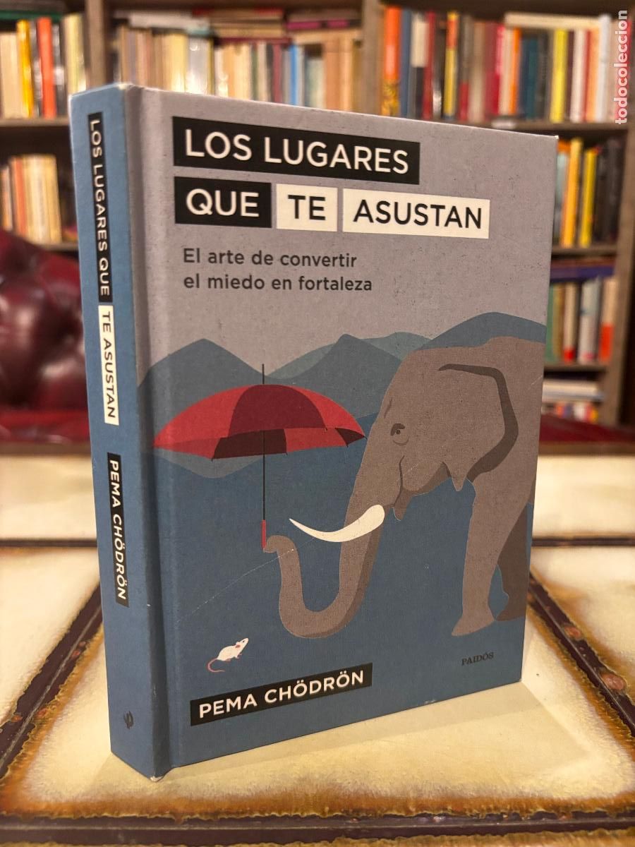 Libros de segunda mano: Los lugares que te asustan. Pema Ch&ouml;dr&ouml;n. - Foto 1
