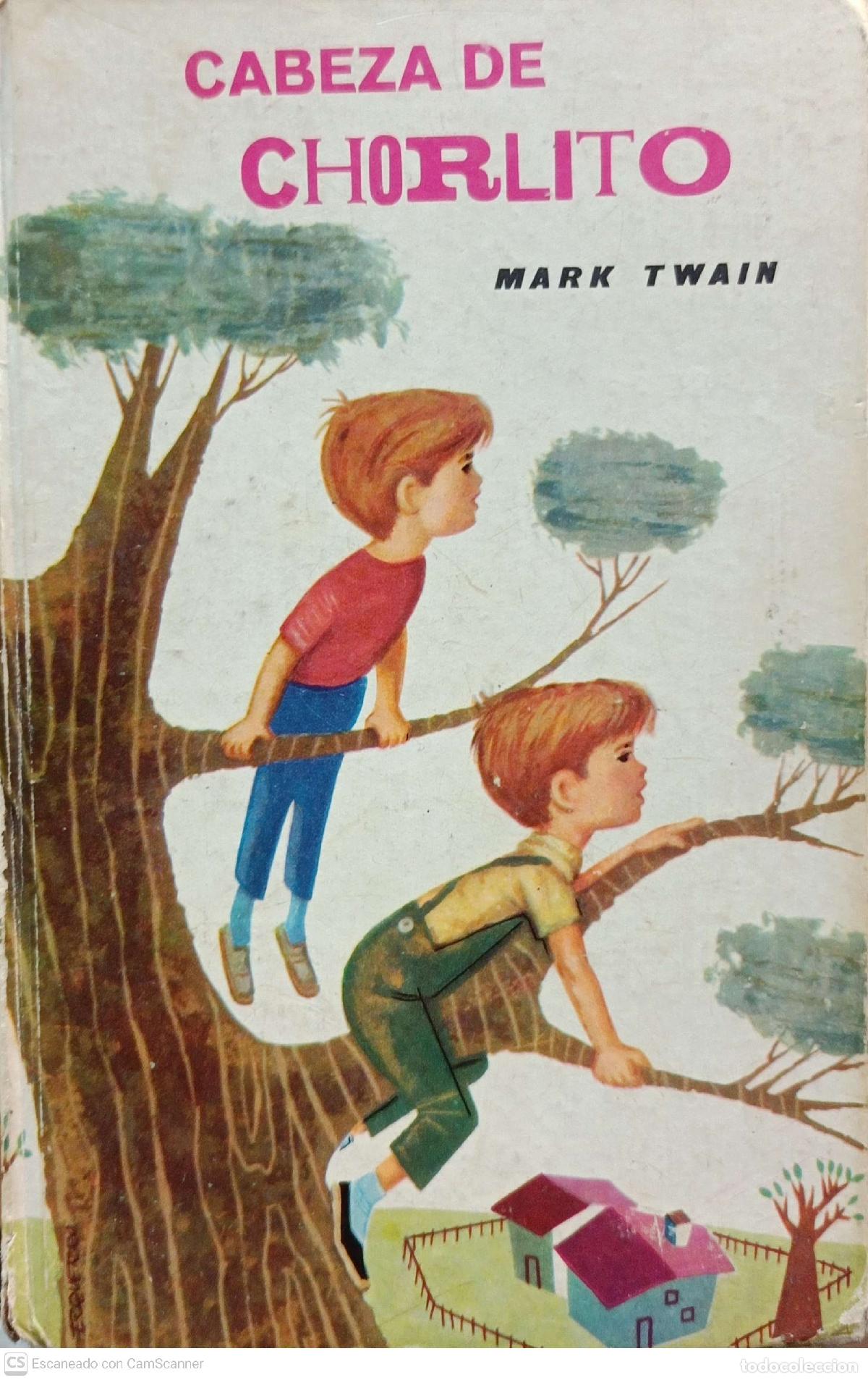 Libros de segunda mano: Cabeza de chorlito - Mark Twain - Foto 1