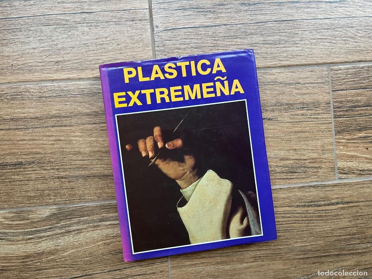 Libros de segunda mano: Pl&aacute;stica Extreme&ntilde;a. Mar&iacute;a del Mar Lozano Bartolizzi. - Foto 1