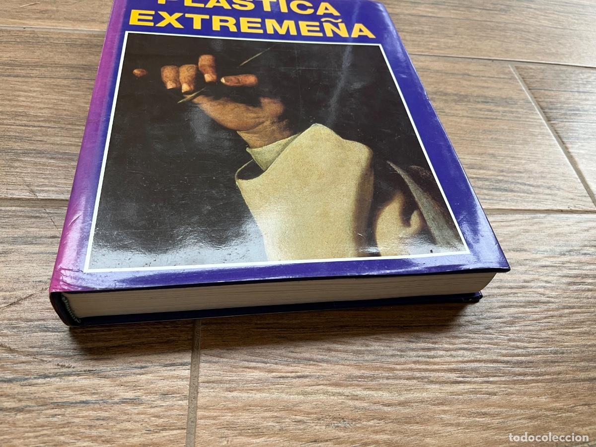 Libros de segunda mano: Pl&aacute;stica Extreme&ntilde;a. Mar&iacute;a del Mar Lozano Bartolizzi. - Foto 2