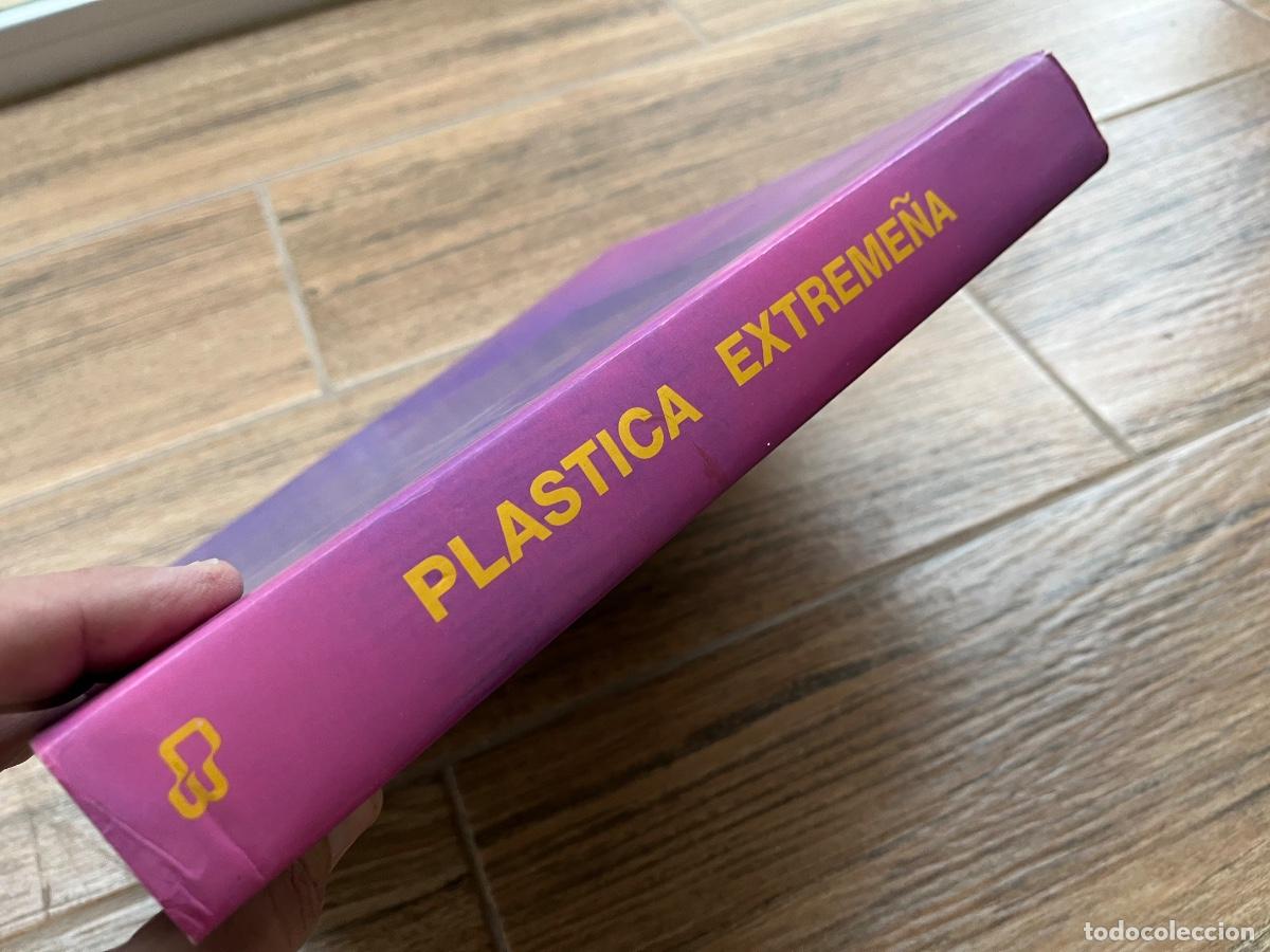 Libros de segunda mano: Pl&aacute;stica Extreme&ntilde;a. Mar&iacute;a del Mar Lozano Bartolizzi. - Foto 4
