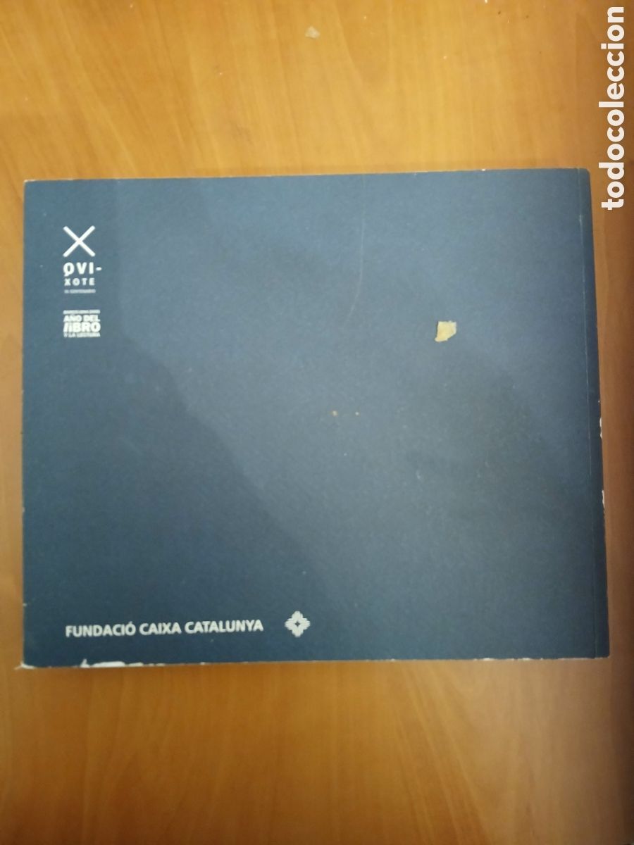 Libros de segunda mano: Visiones del Quijote. Fundaci&oacute; Caixa Catalunya. - Foto 2