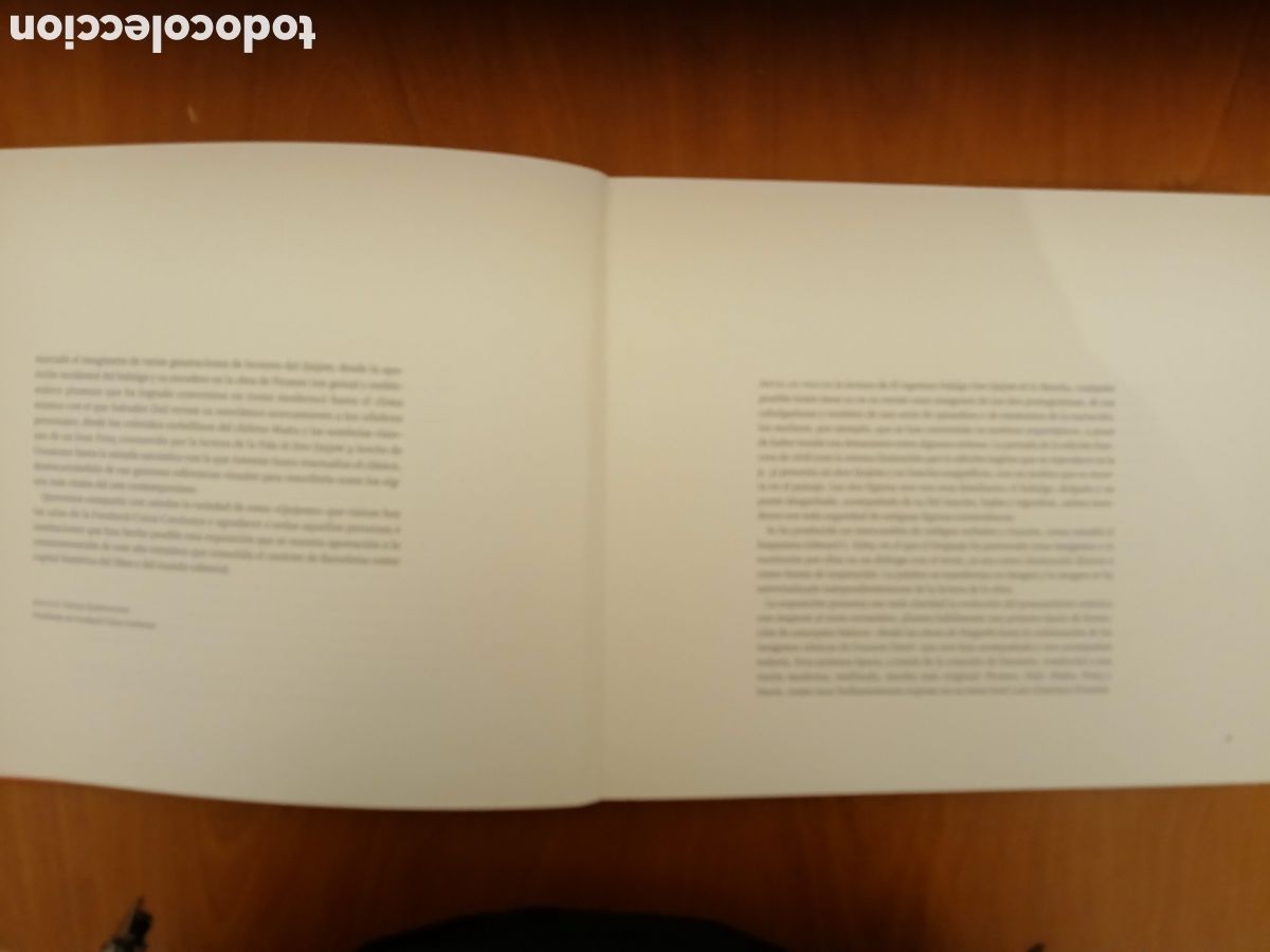 Libros de segunda mano: Visiones del Quijote. Fundaci&oacute; Caixa Catalunya. - Foto 5