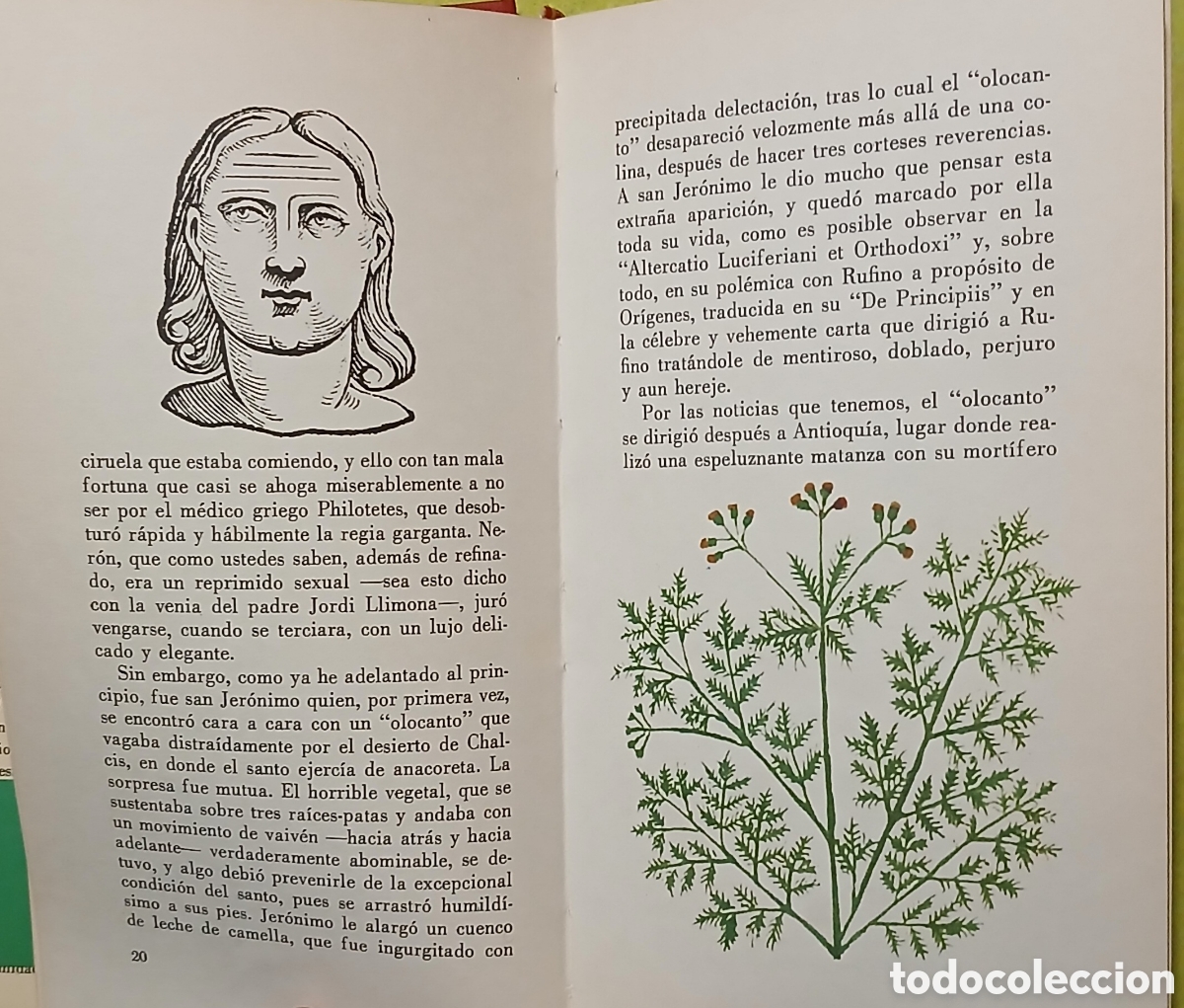 Libros de segunda mano: Botanica oculta o el falso paracelso - Foto 5