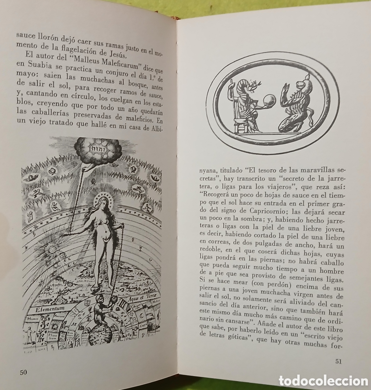 Libros de segunda mano: Botanica oculta o el falso paracelso - Foto 6