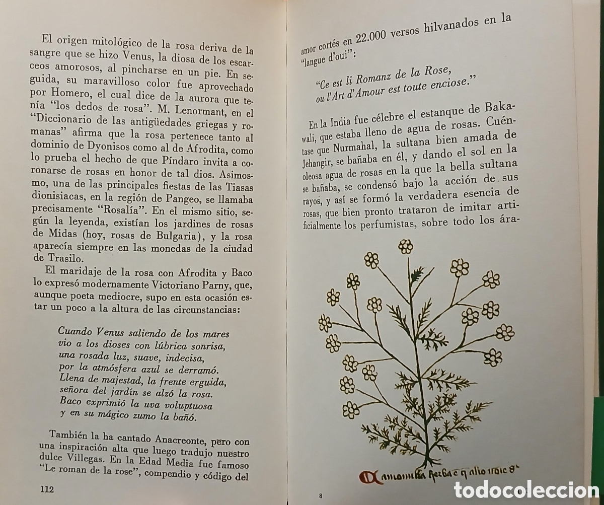 Libros de segunda mano: Botanica oculta o el falso paracelso - Foto 7