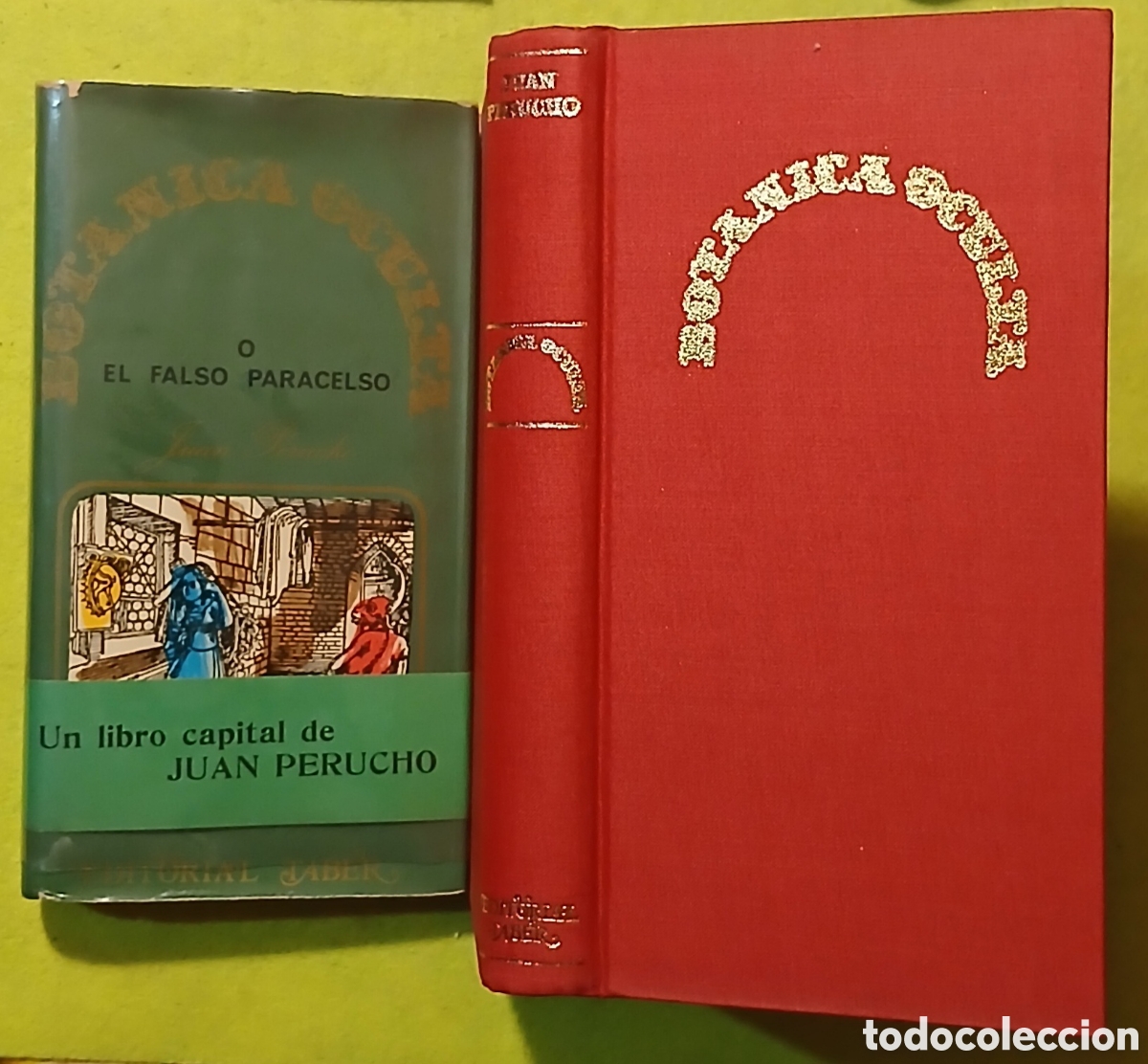Libros de segunda mano: Botanica oculta o el falso paracelso - Foto 1