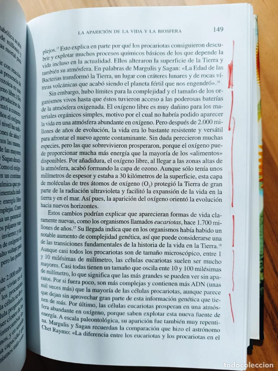 Libros de segunda mano: MAPAS DEL TIEMPO: INTRODUCCION A LA GRAN HISTORIA - David Christian - Foto 3
