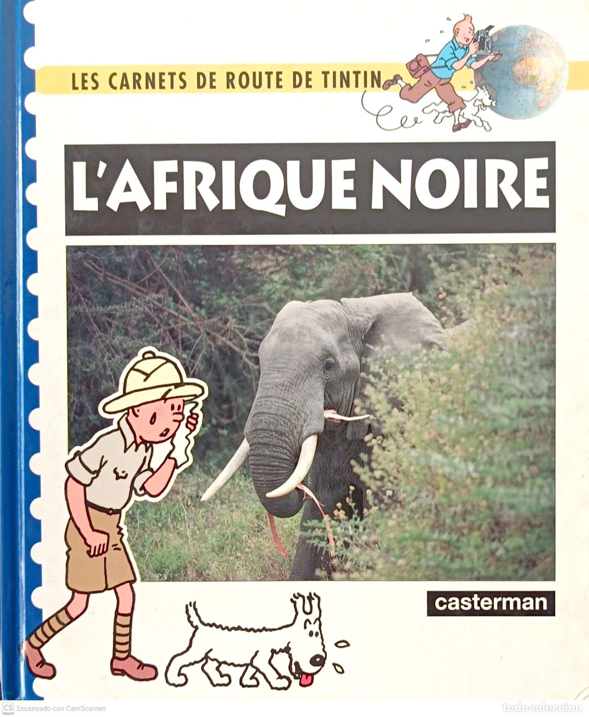 Libros de segunda mano: LAfrique noire - Daniel de Bruycker y Maximilien Dauber - Foto 1