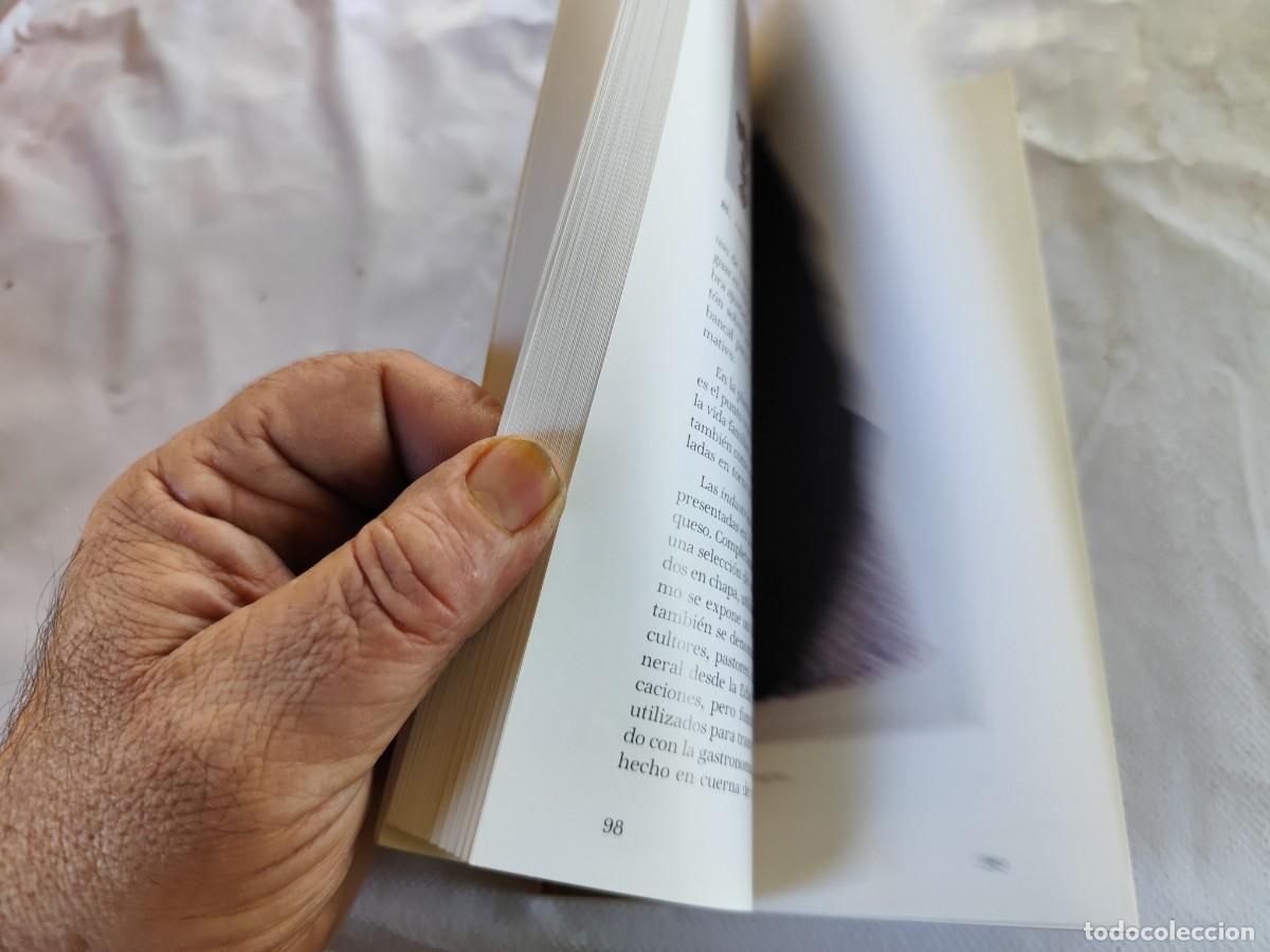 Libros de segunda mano: GUIA DE BOLSILLO DEL MUSEO DE ZARAGOZA / / CJA 356 - Foto 9