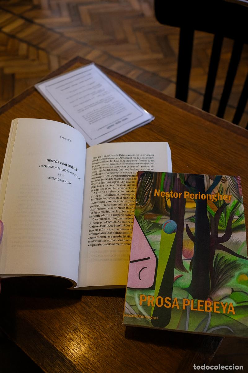Libros de segunda mano: Prosa plebeya, N&eacute;stor Perlongher - LM - Foto 1