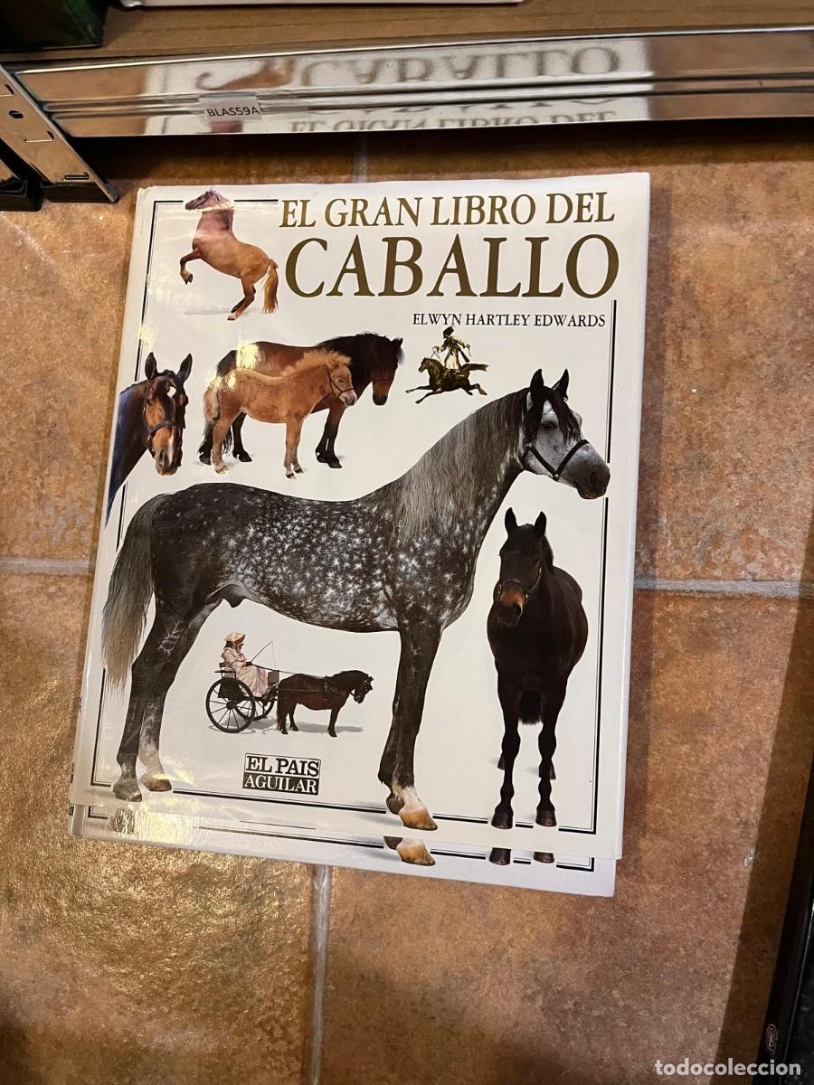 Libros de segunda mano: BLAS59A EL GRAN LIBRO DEL CABALLO, ELWYN HARTLEY EDWARDS - Foto 1