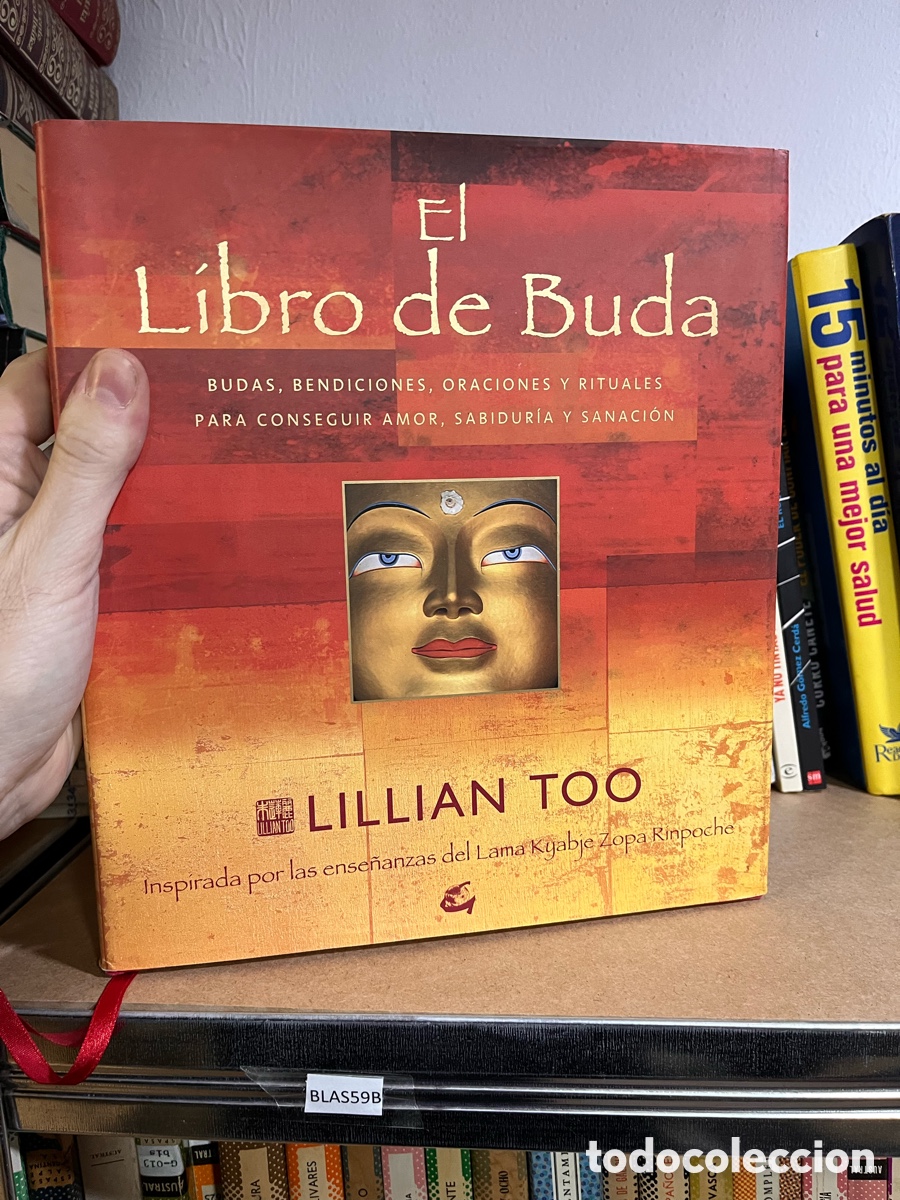 Libros de segunda mano: Blas59B EL LIBRO DE BUDA - TOO LILLIAN GAIA - Foto 1