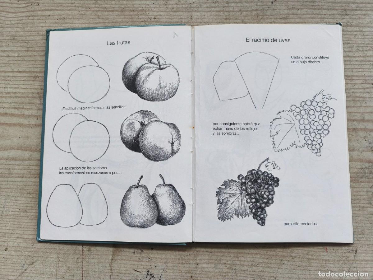 Libros de segunda mano: Dibujar Es Facil - 1987 - Editorial Molino - Foto 4