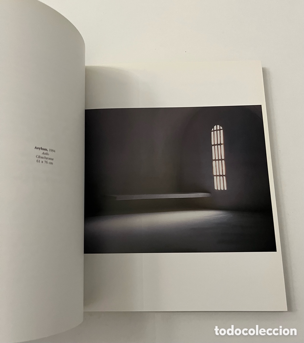 Libros de segunda mano: Libro de Arte - James Casebre - Asylum - Foto 5