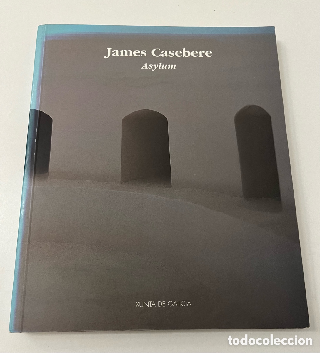 Libros de segunda mano: Libro de Arte - James Casebre - Asylum - Foto 1