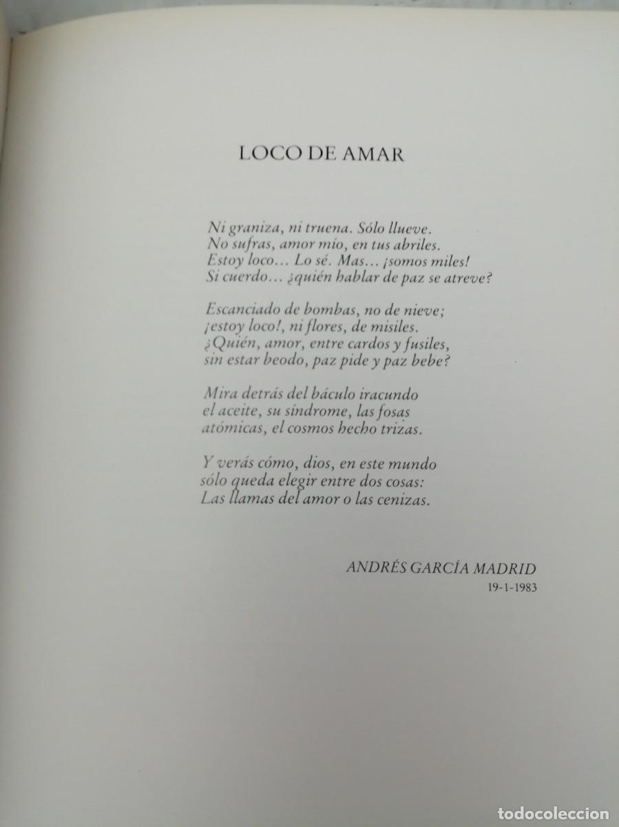 Libros de segunda mano: Canto a la paz (Primera edici&oacute;n, tapa dura) - Foto 3