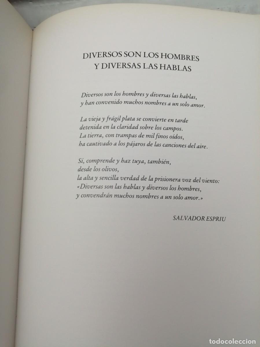 Libros de segunda mano: Canto a la paz (Primera edici&oacute;n, tapa dura) - Foto 4