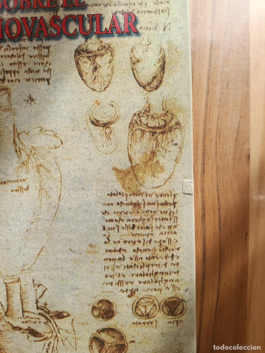 Libros de segunda mano: ESTUDIOS SOBRE EL SISTEMA CARDIOVASCULAR - LEONARDO DA VINCI - Foto 4