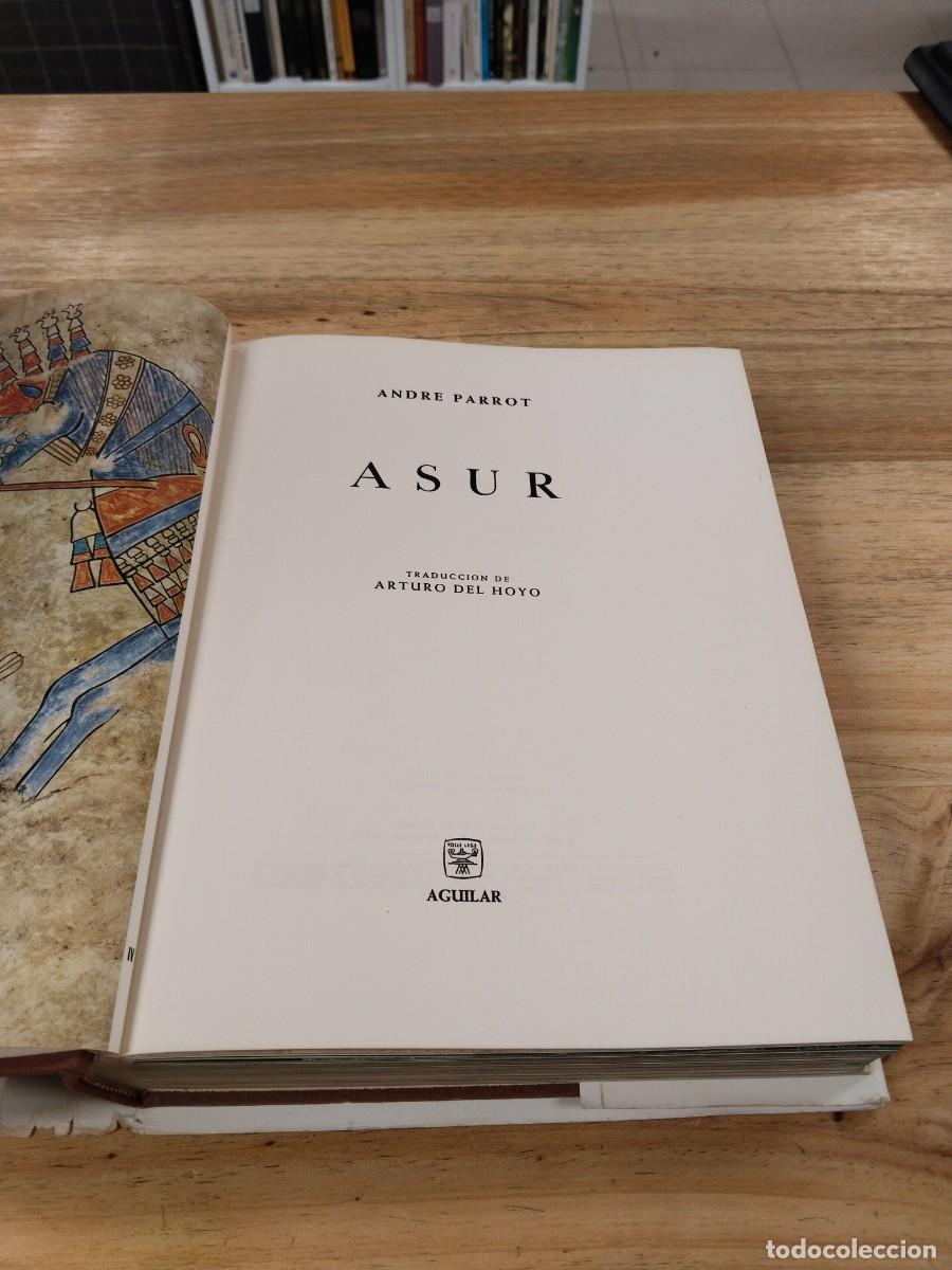 Libros de segunda mano: El Universo de las Formas- Asur - Andre Parrot - Foto 5