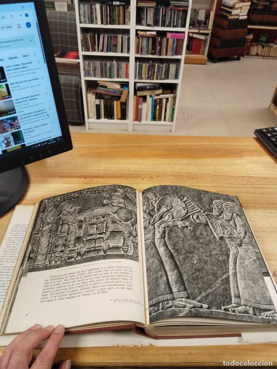 Libros de segunda mano: El Universo de las Formas- Asur - Andre Parrot - Foto 10