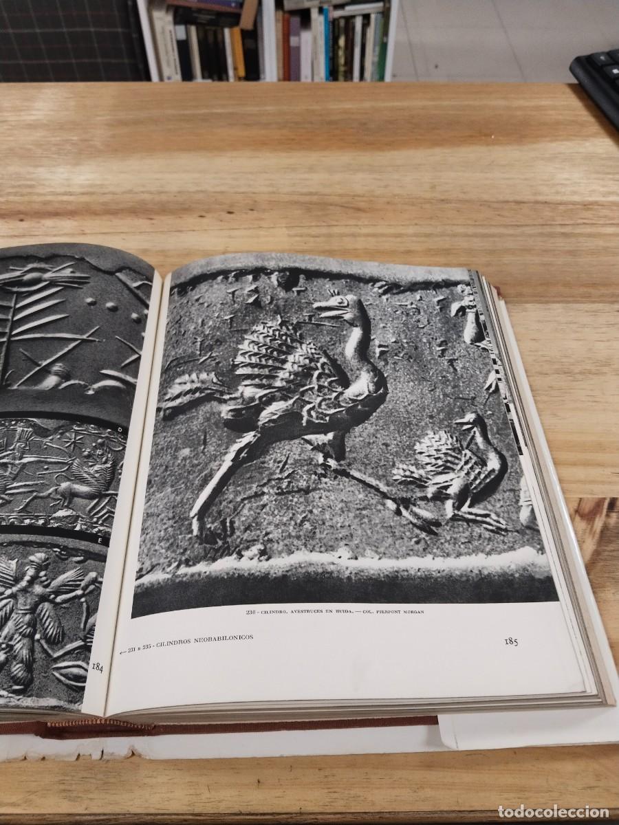 Libros de segunda mano: El Universo de las Formas- Asur - Andre Parrot - Foto 12