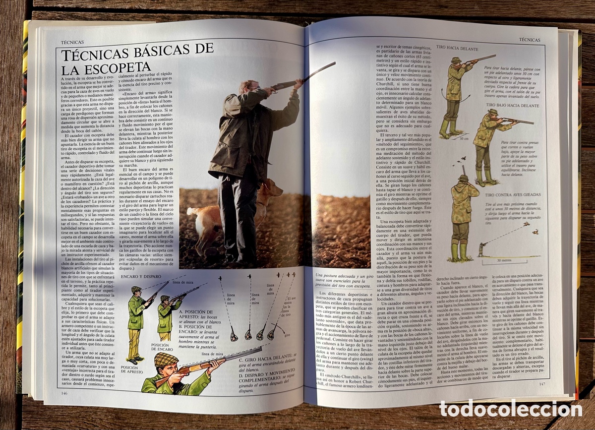 Libros de segunda mano: La caza y el tiro editorial Susaeta - Foto 2